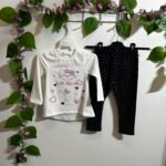 Conjunto de gatitos