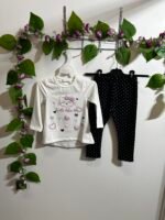 Conjunto de gatitos